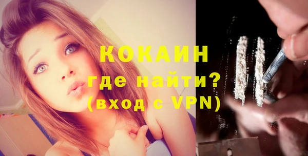 индика Кулебаки