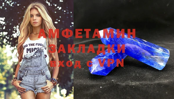 твердый Ладушкин