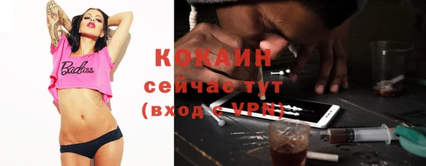 твердый Ладушкин