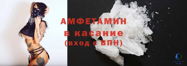 индика Кулебаки