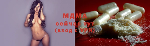 индика Кулебаки