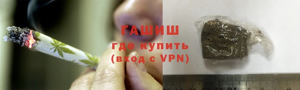индика Кулебаки