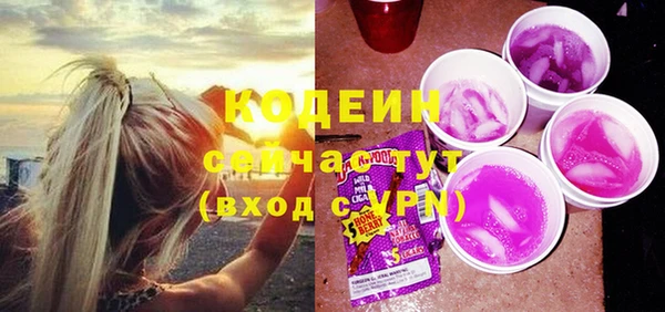 индика Кулебаки