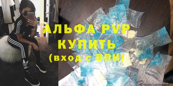 индика Кулебаки