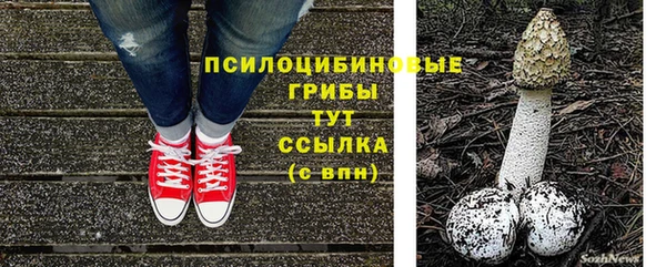 твердый Ладушкин