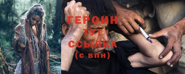 индика Кулебаки