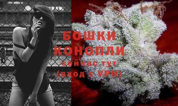 индика Кулебаки