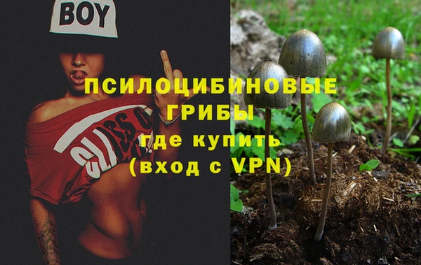 PSILOCYBIN Верхнеуральск