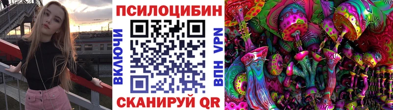 Псилоцибиновые грибы MAGIC MUSHROOMS  как найти   Калининск 